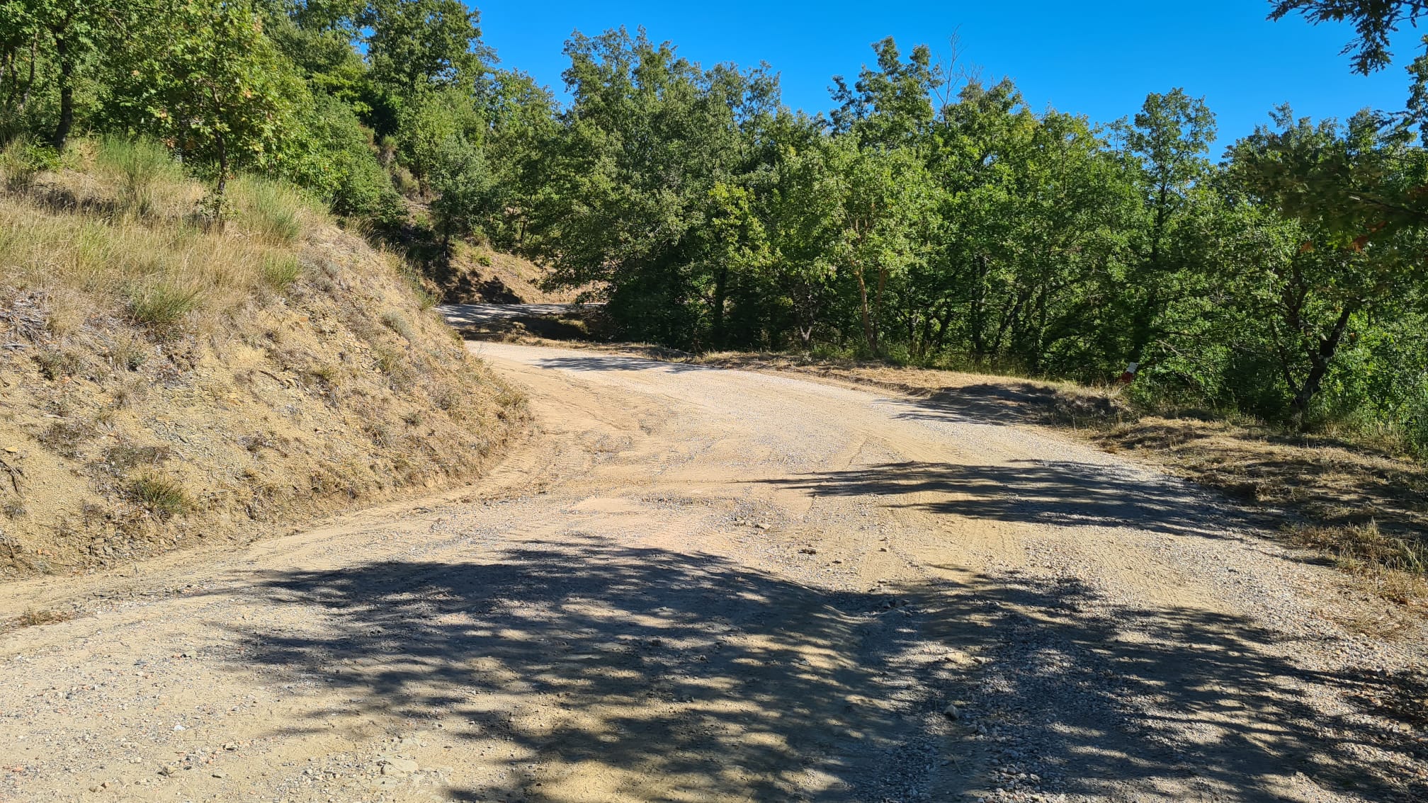 immagine notizia (ptn) Provincia, viabilità: iniziati i lavori di bitumatura della Strada comunale delle Felcete a San Venanzo